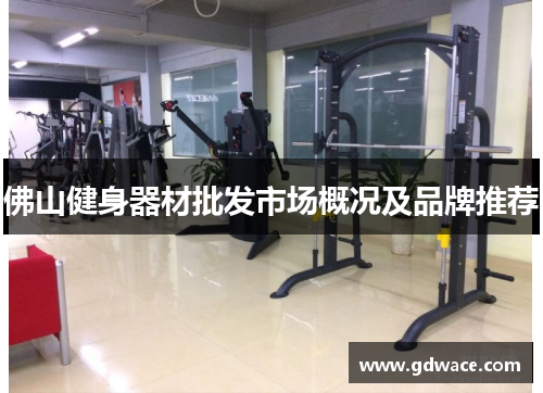 佛山健身器材批发市场概况及品牌推荐