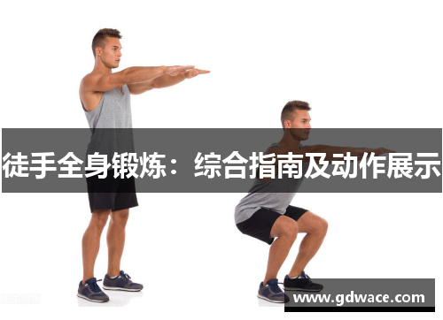 徒手全身锻炼：综合指南及动作展示