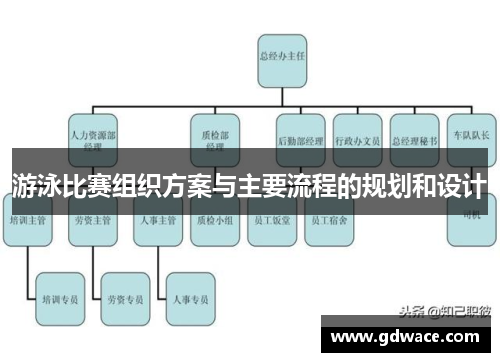 游泳比赛组织方案与主要流程的规划和设计