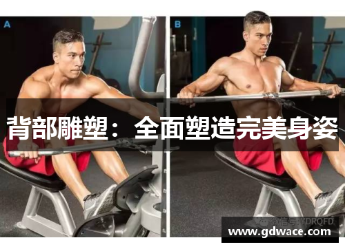 背部雕塑：全面塑造完美身姿