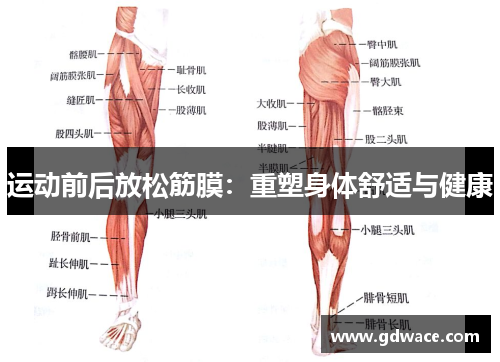 运动前后放松筋膜：重塑身体舒适与健康