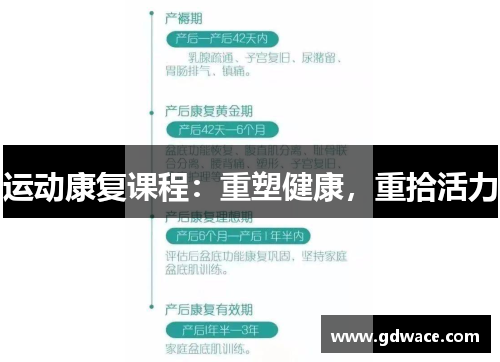 运动康复课程：重塑健康，重拾活力